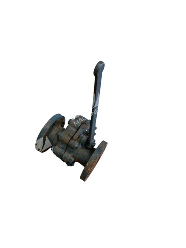 EVCO Everlasting Valve Company S200F IIILET WP-250