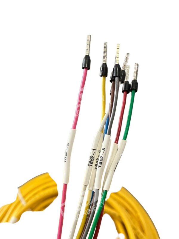 Turck E54661 Cable Assembly 173K409G03 U2-16797 - Image 5