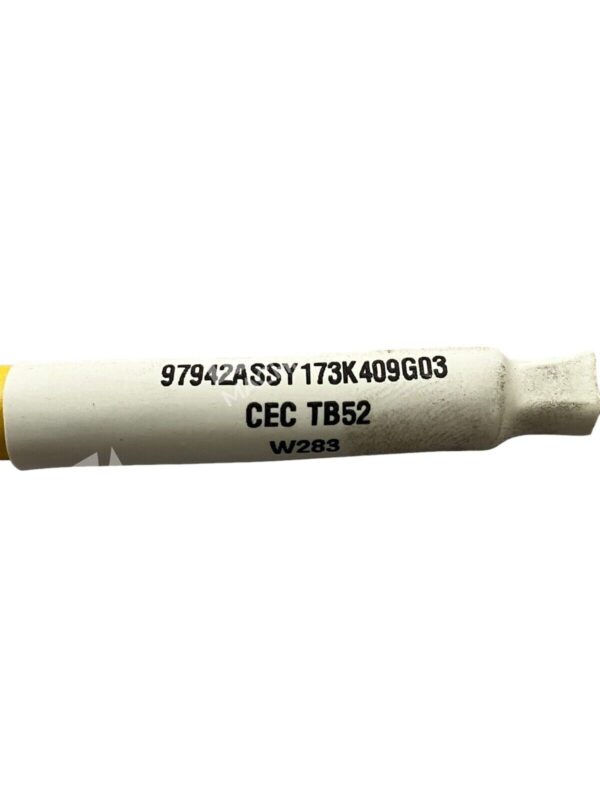 Turck E54661 Cable Assembly 173K409G03 U2-16797 - Image 6