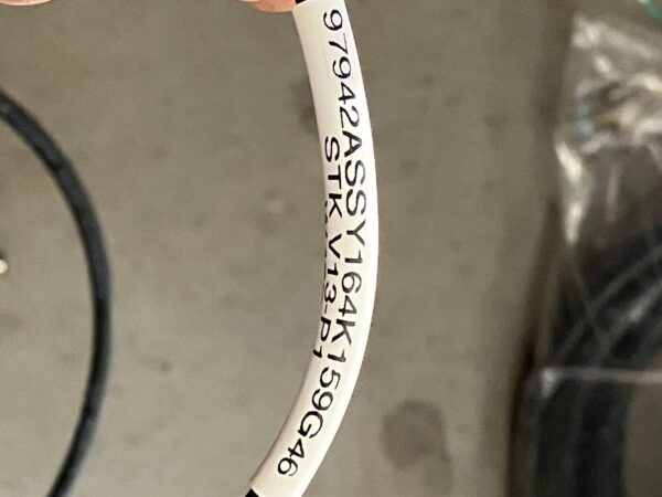 Turck 97942 ASSY 164K159G47 Cable Assembly - Image 3