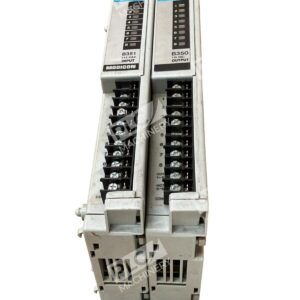 Gould Modicon B351 Input Module & B350 Output Module