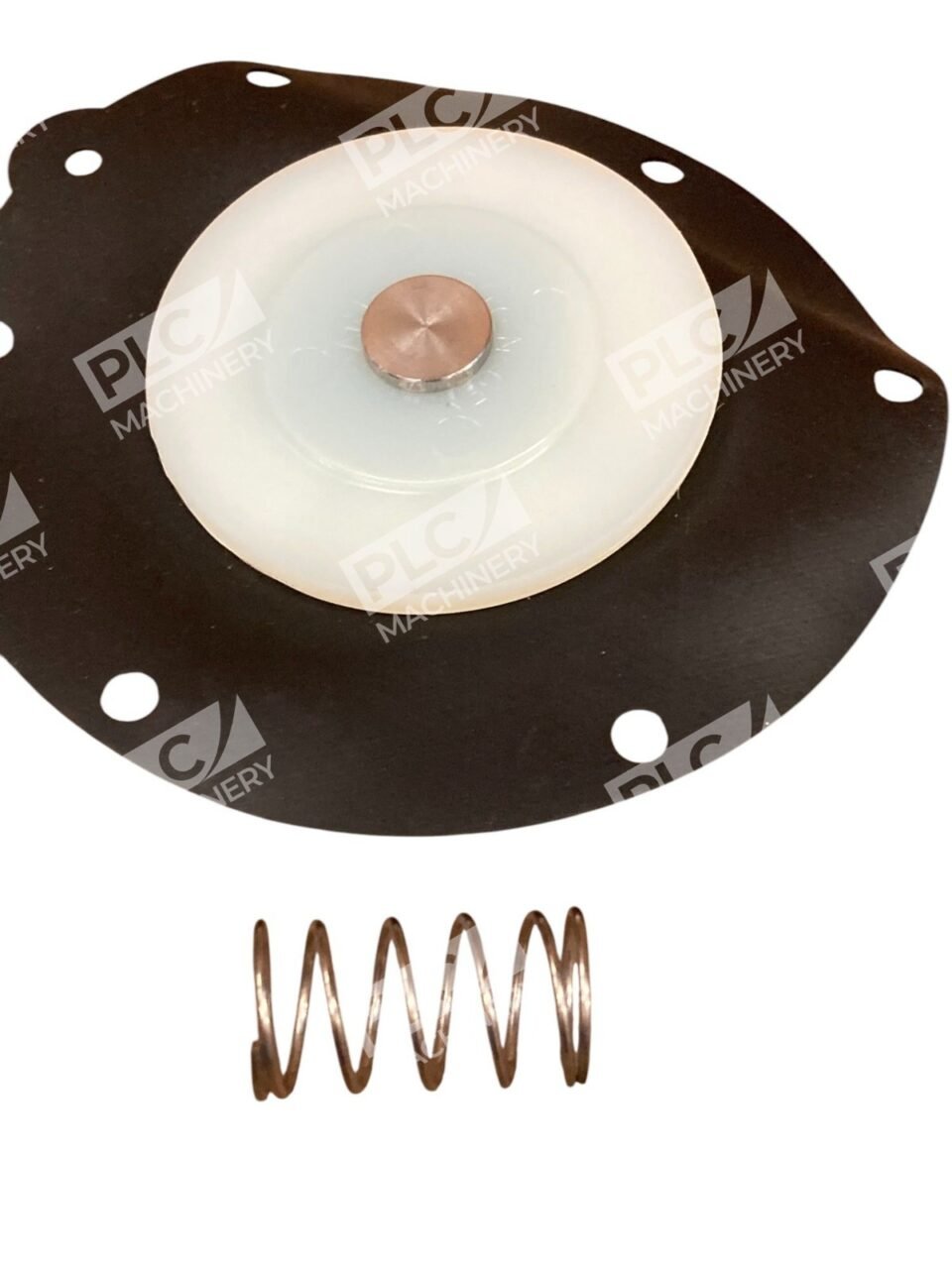 Pentair M2162 RCA45T2 Nitrile Akulon Diaphragm Kit K4502 - Image 5