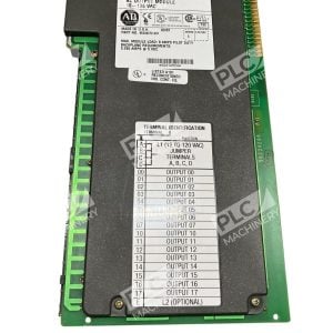 Allen Bradley AB 10-138 VAC AC Output Module 1771-OAD /C Rev G01